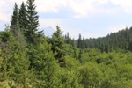resIMG_20170715_170324_8682.JPG